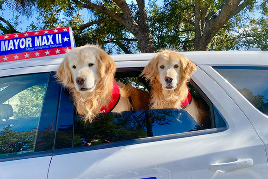 Mayor Max of Idyllwild